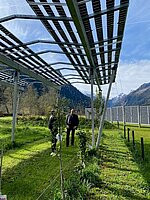 csm_vorstellung_hilbersolar_02-bild-da_415fe4bbc1.jpg